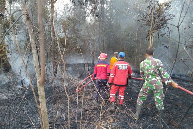 Tujuh Titik Api Terpantau Di Kabupaten Sarolangun