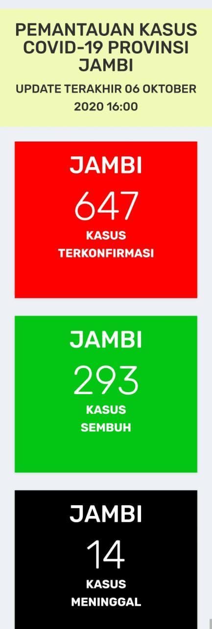 Rekor Baru Terbanyak Positif Covid19 Jambi Bertambah 29 Orang, Sembuh Tambah 7 Orang