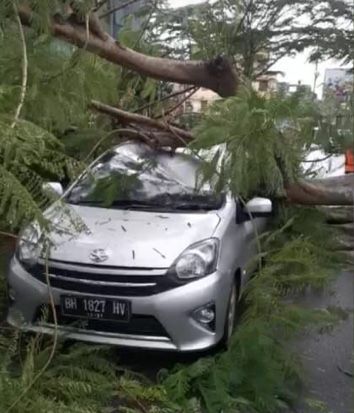 Hujan Disertai Angin Guyur Kota Jambi