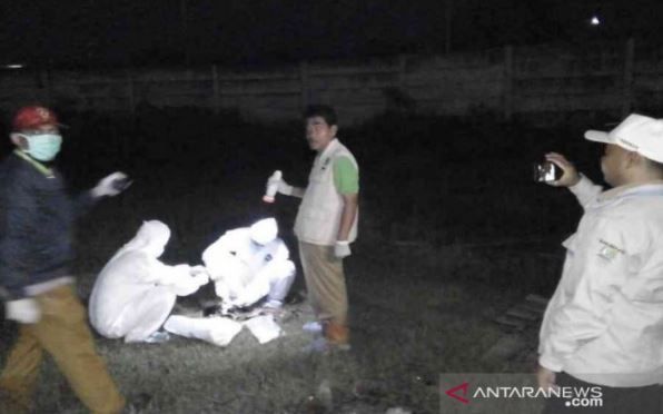 Kambing, Ayam dan Kucing Ditemukan Mati Misterius di Bekasi